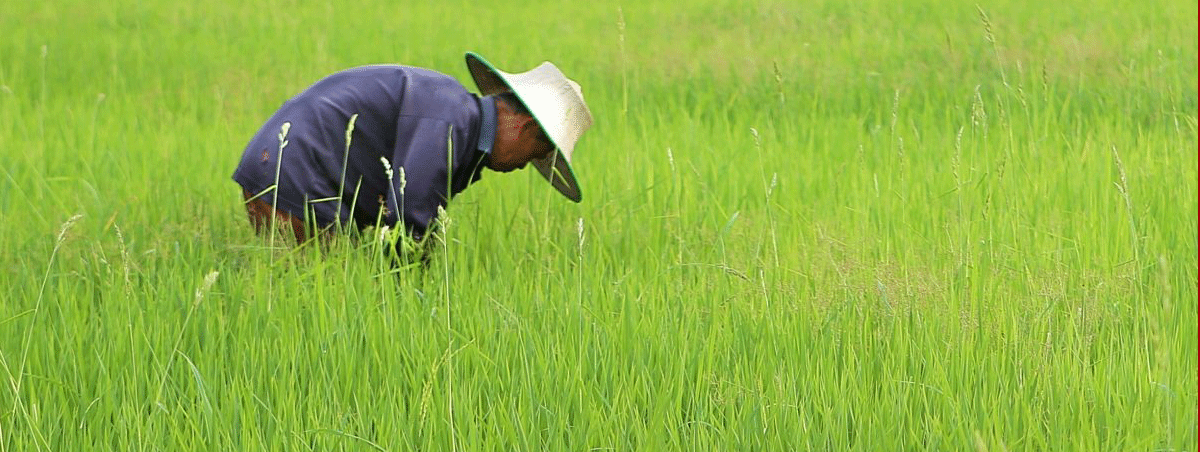 产业扶贫